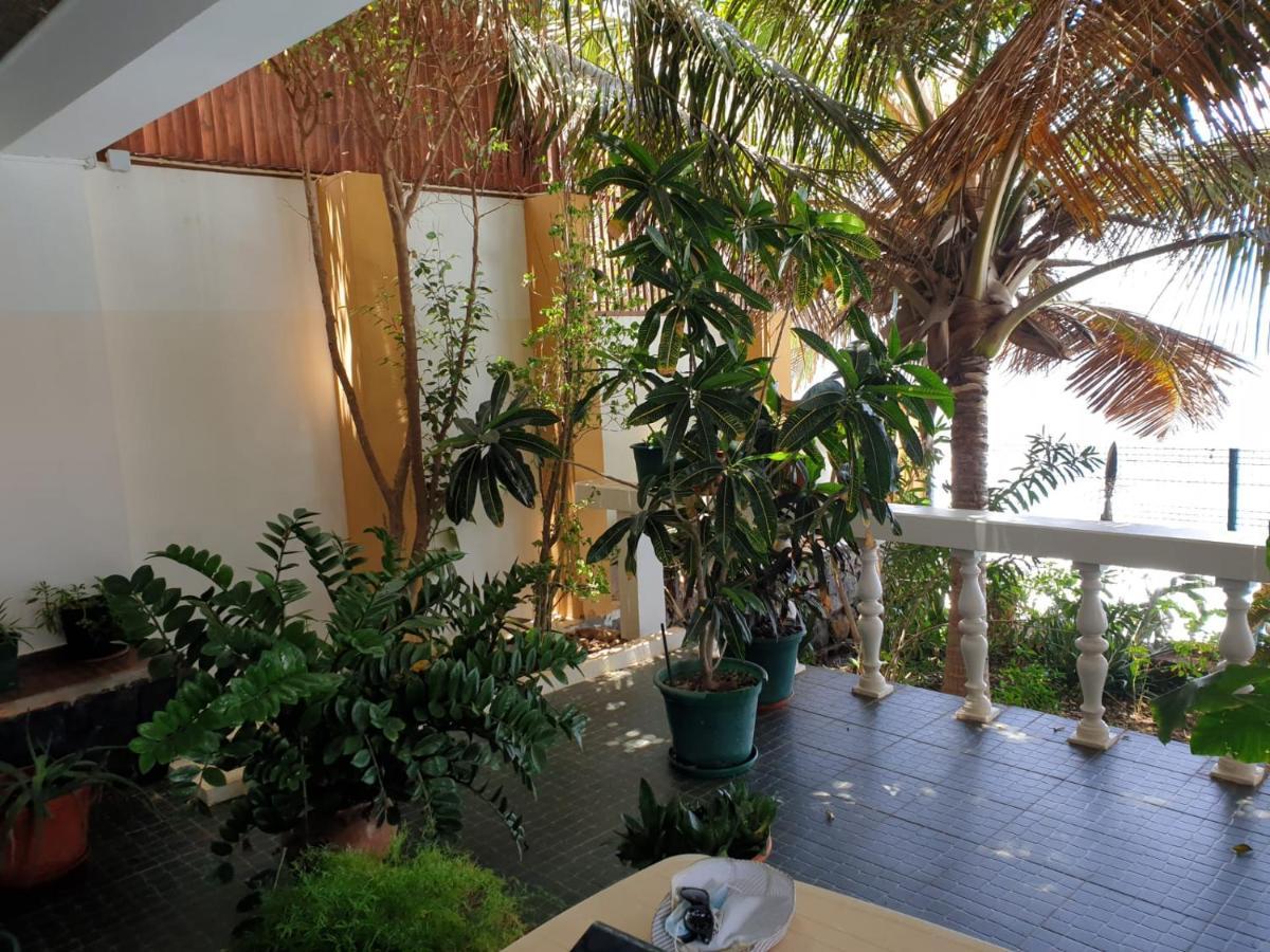Cactus Guest House Cidade Velha Ngoại thất bức ảnh